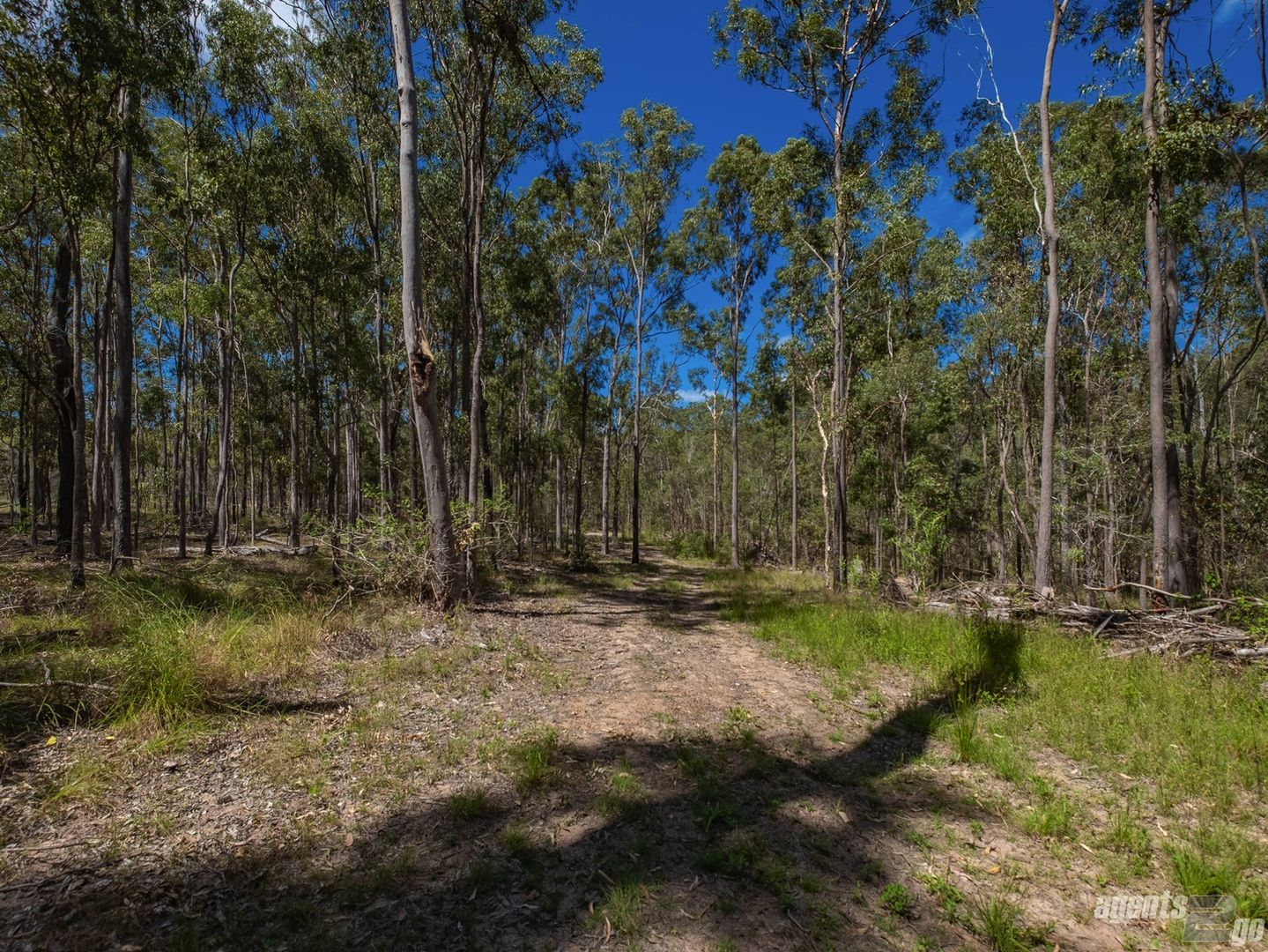 Lot 32 Baloghs Road, Anderleigh QLD 4570, Image 1