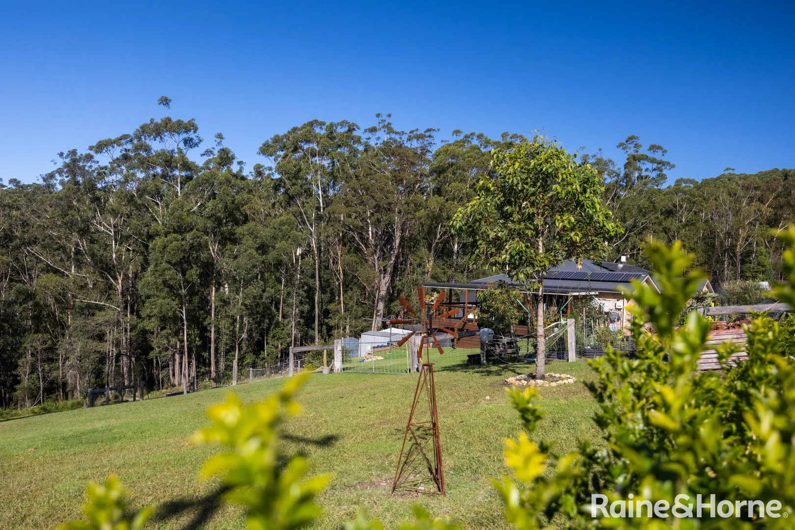 Image 25