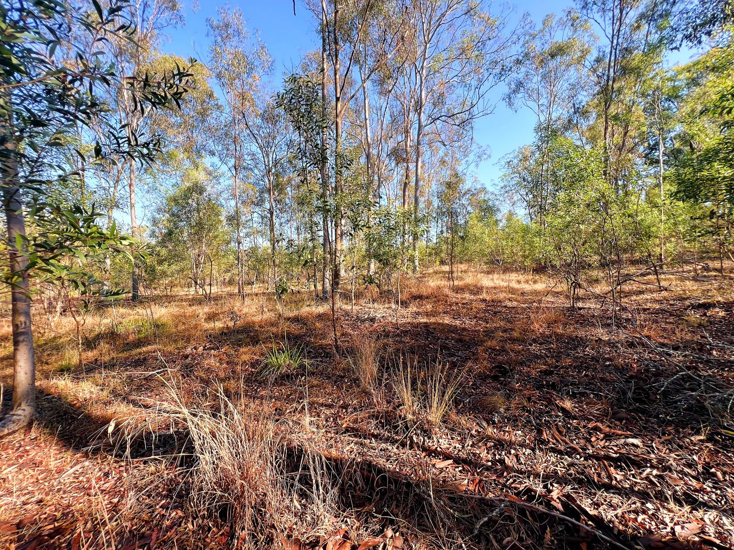 Lot 11, 134 Kent Tobin Road, Maroondan QLD 4671, Image 2