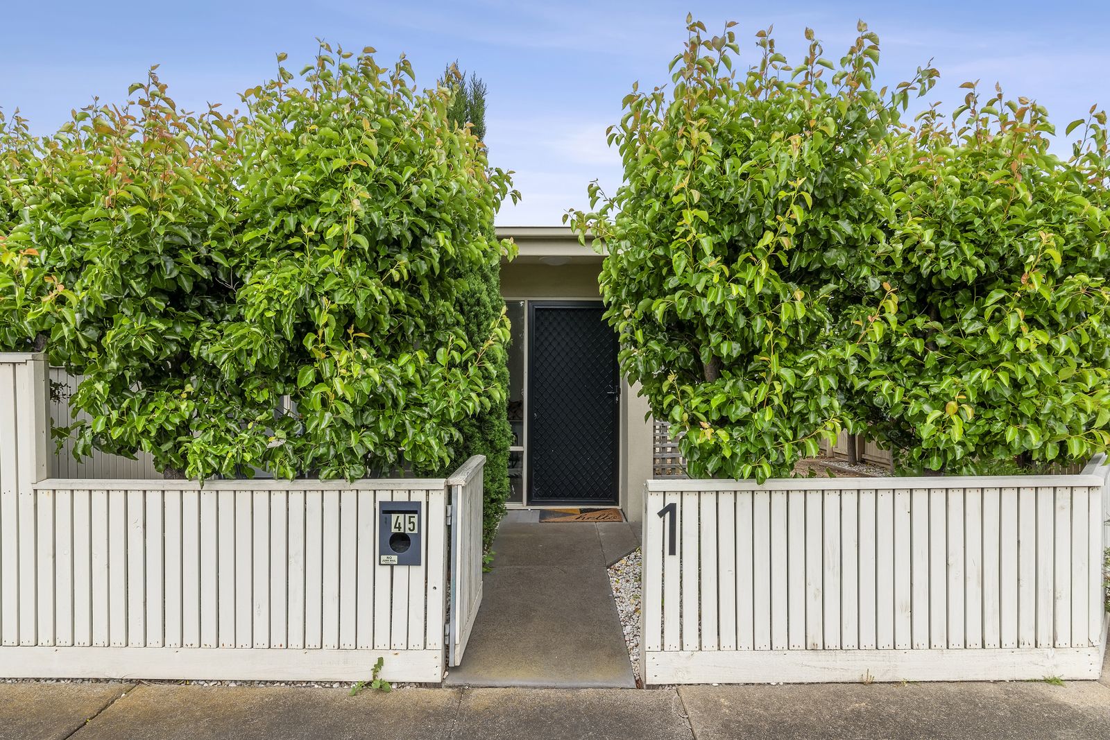 1/45 Francis Street, Belmont VIC 3216, Image 1