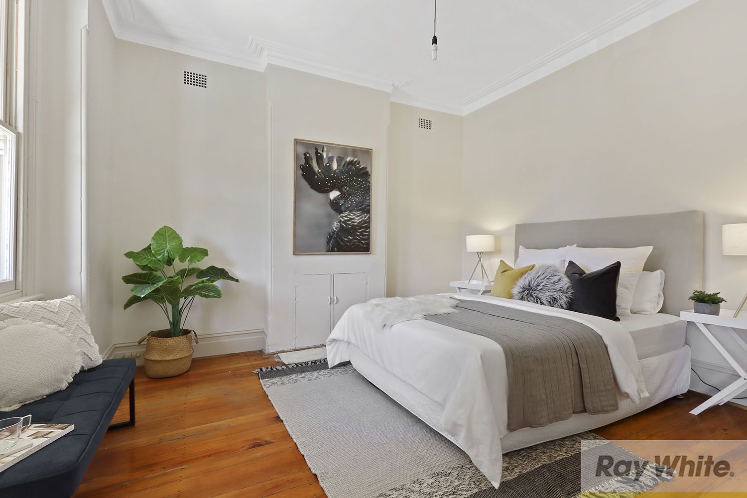 9 Willison Road,, Carlton NSW 2218, Image 2