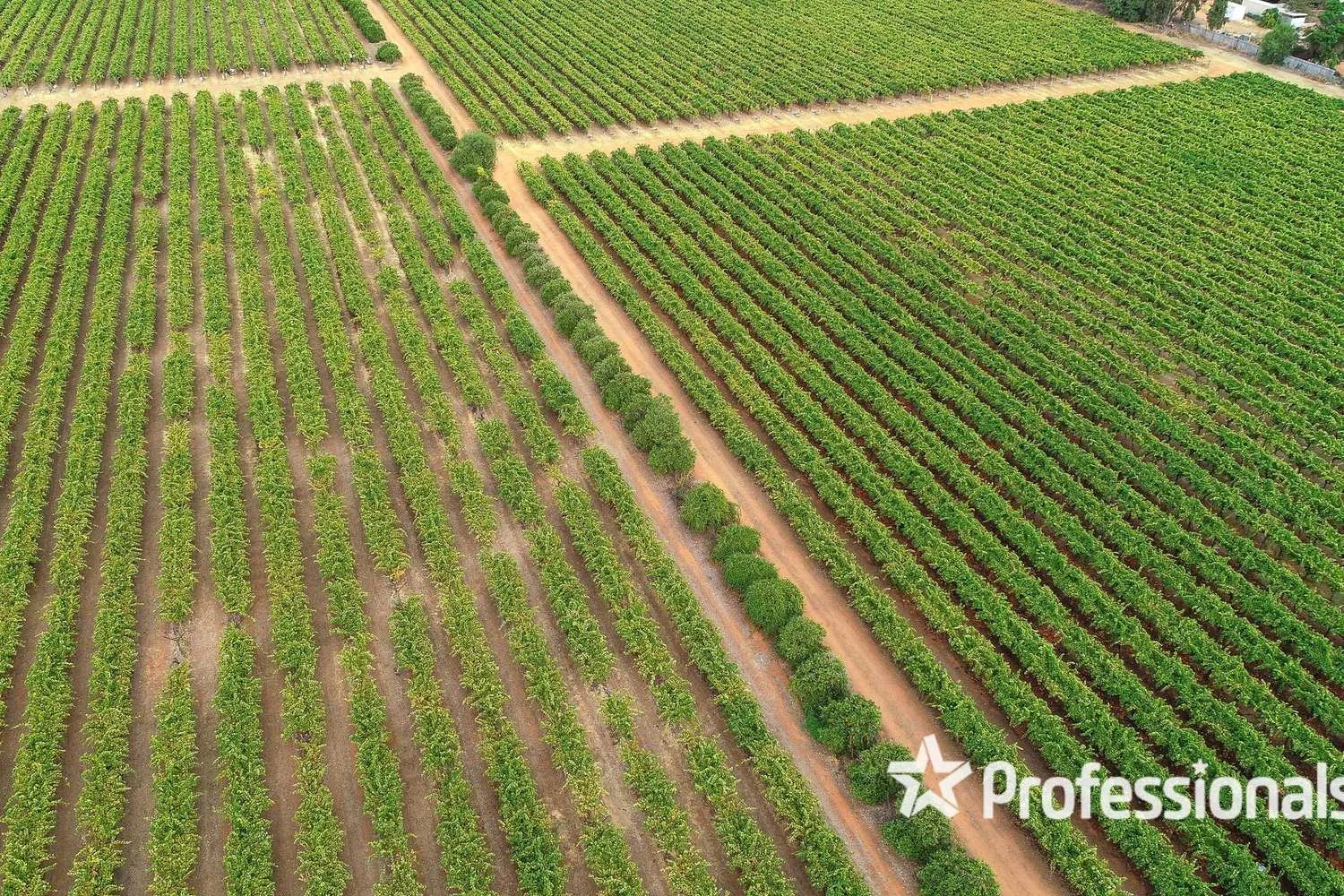 Additional image 17 of 405 Euston Avenue, Red Cliffs VIC 3496