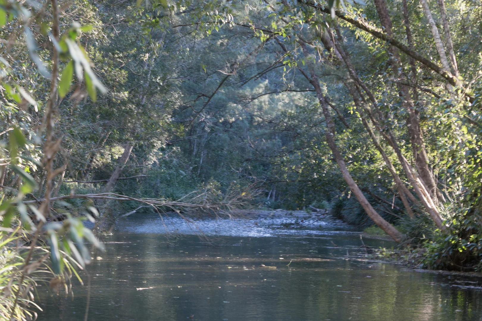 Bobin NSW 2429 photo 3