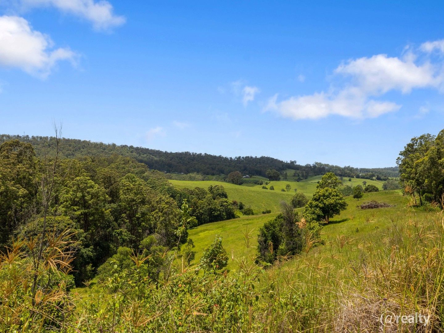 357 Rhones Creek Road, Talarm NSW 2447, Image 0