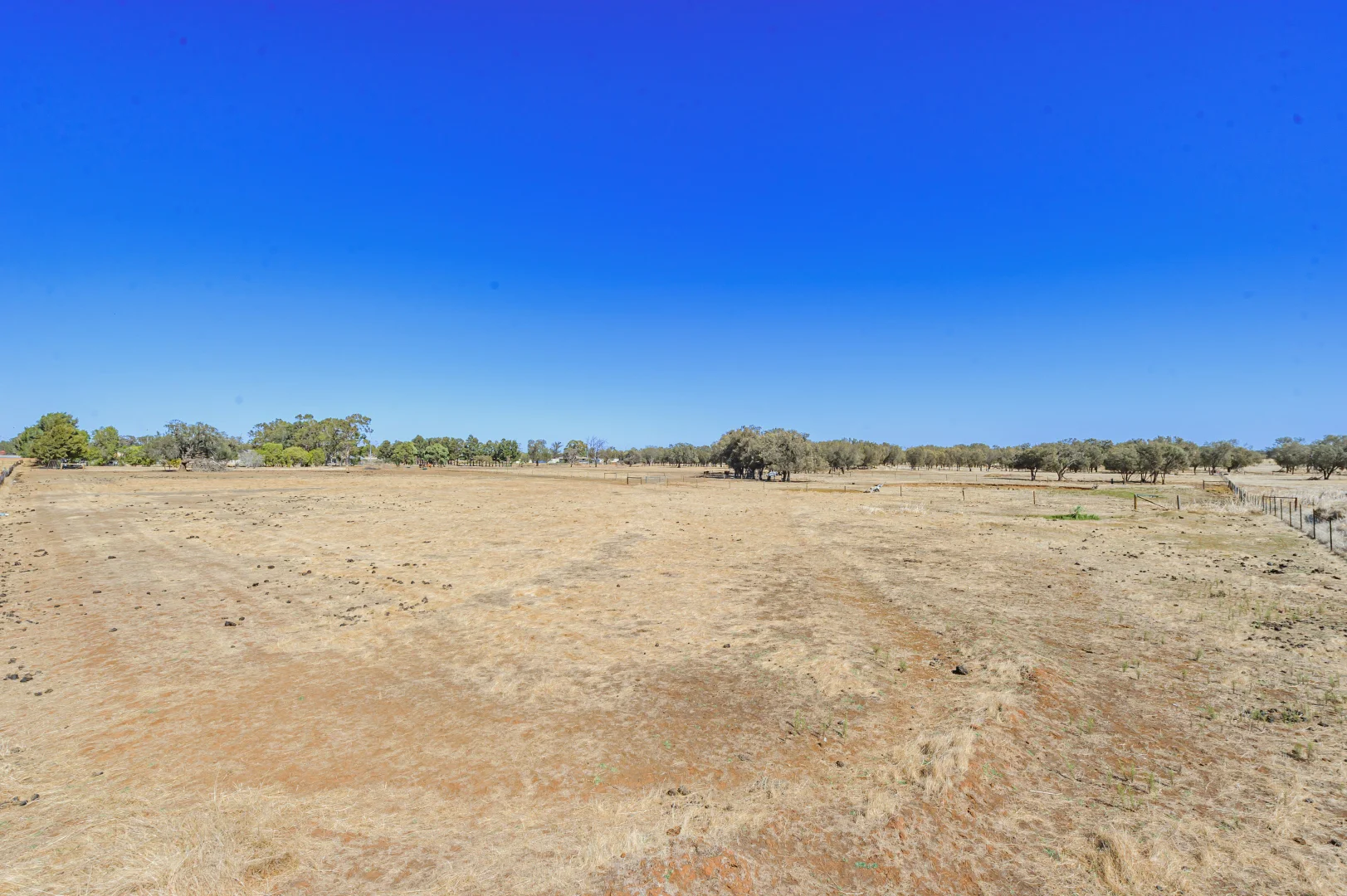 Image 25