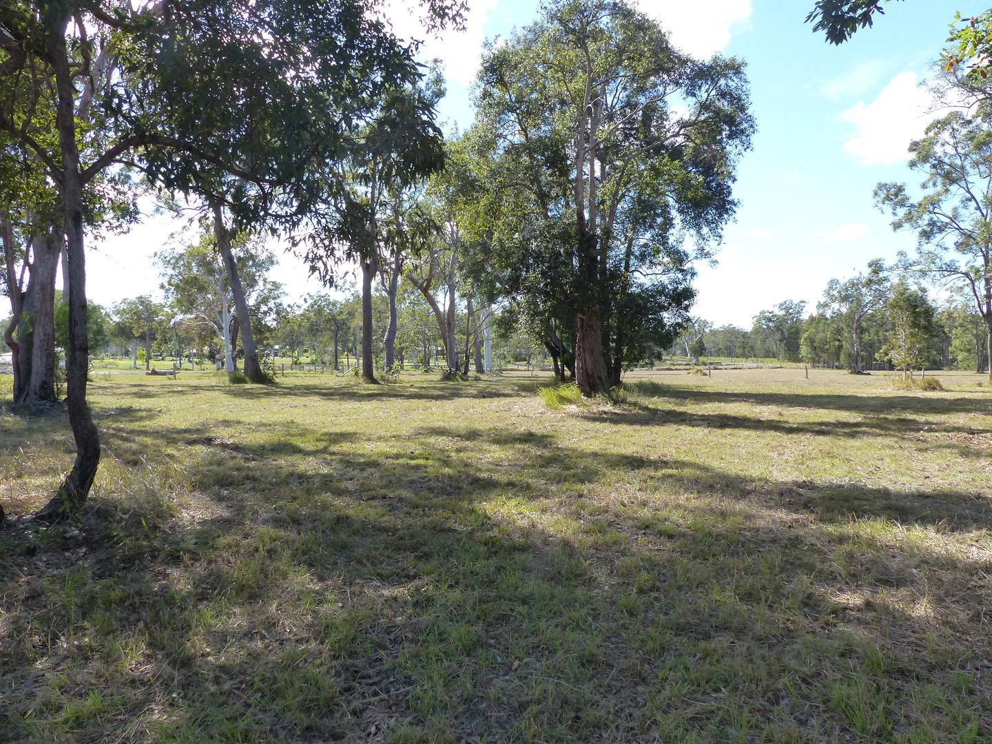 Lot 17 Cream Box Ct, Ringtail Creek QLD 4565, Image 2