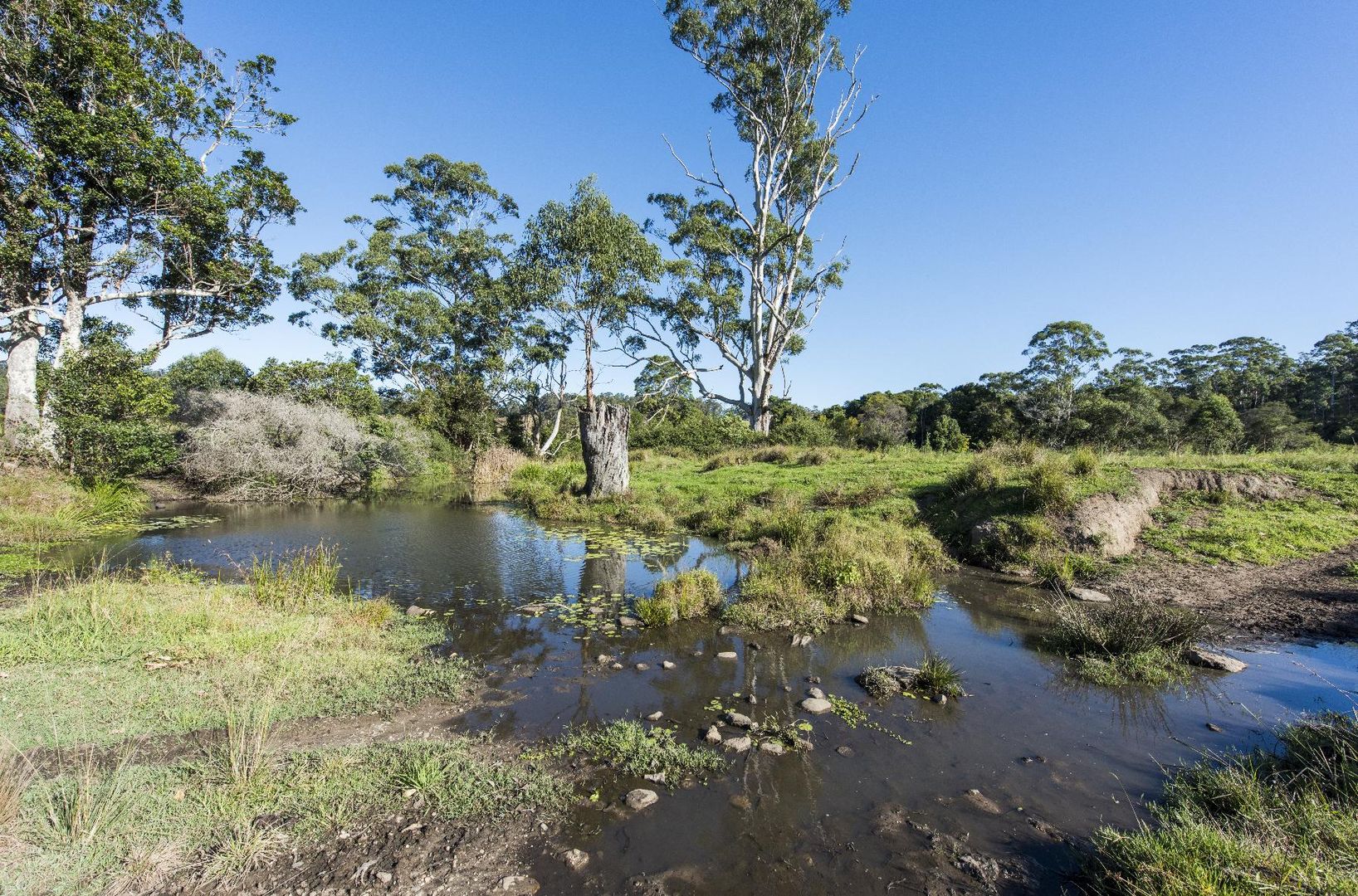 Part of 128 Upper Corindi Road, Upper Corindi NSW 2456, Image 2