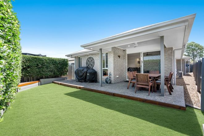 21 Wells Place Hemmant 4174 - Image 3