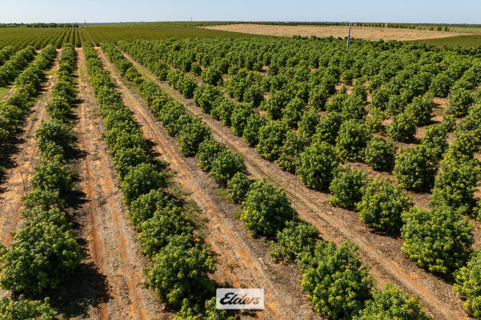 Additional image 43 of 135 Red Hill Road, Pomona NSW 2648