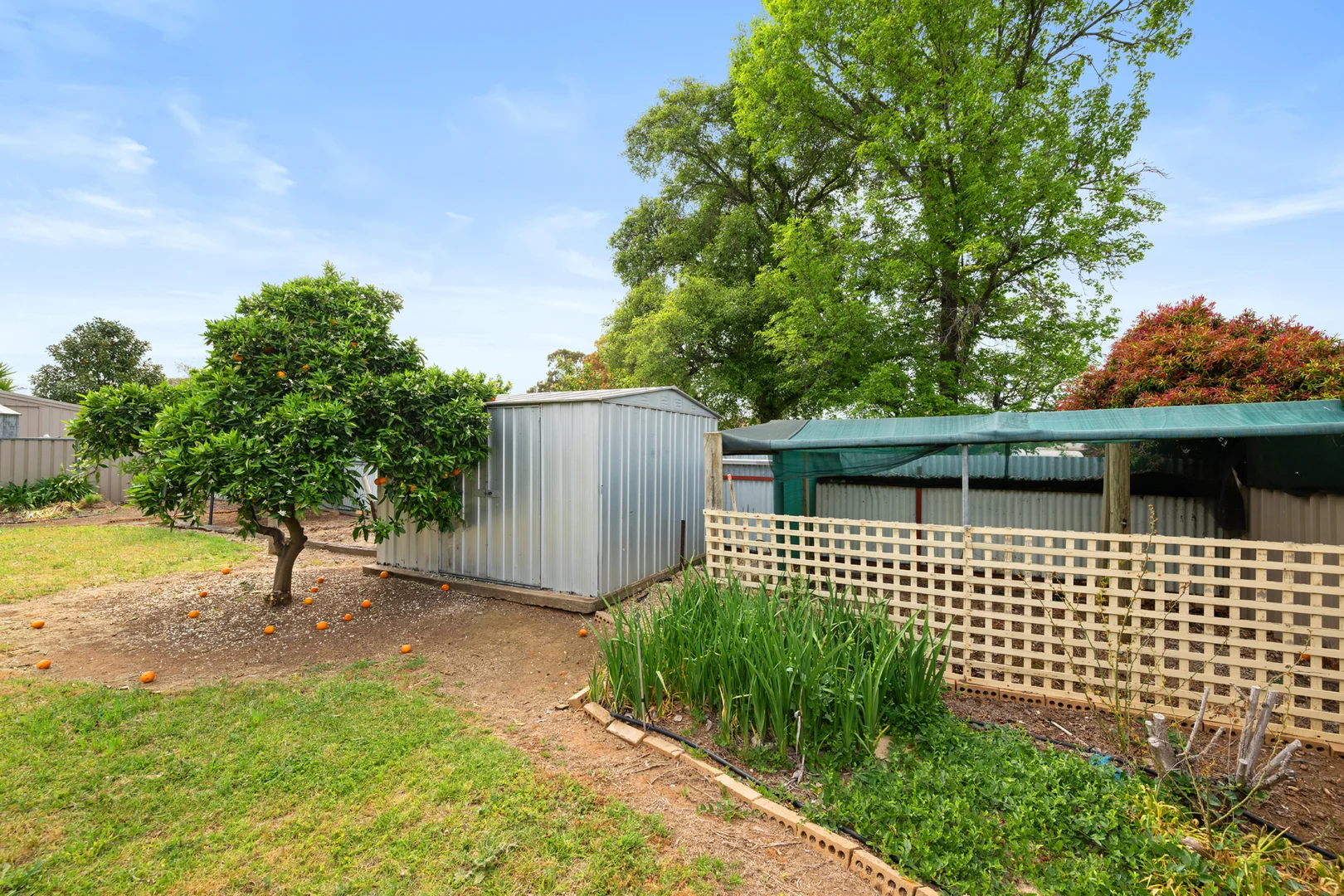 Additional image 14 of 21 Shiraz Crescent, Corowa NSW 2646