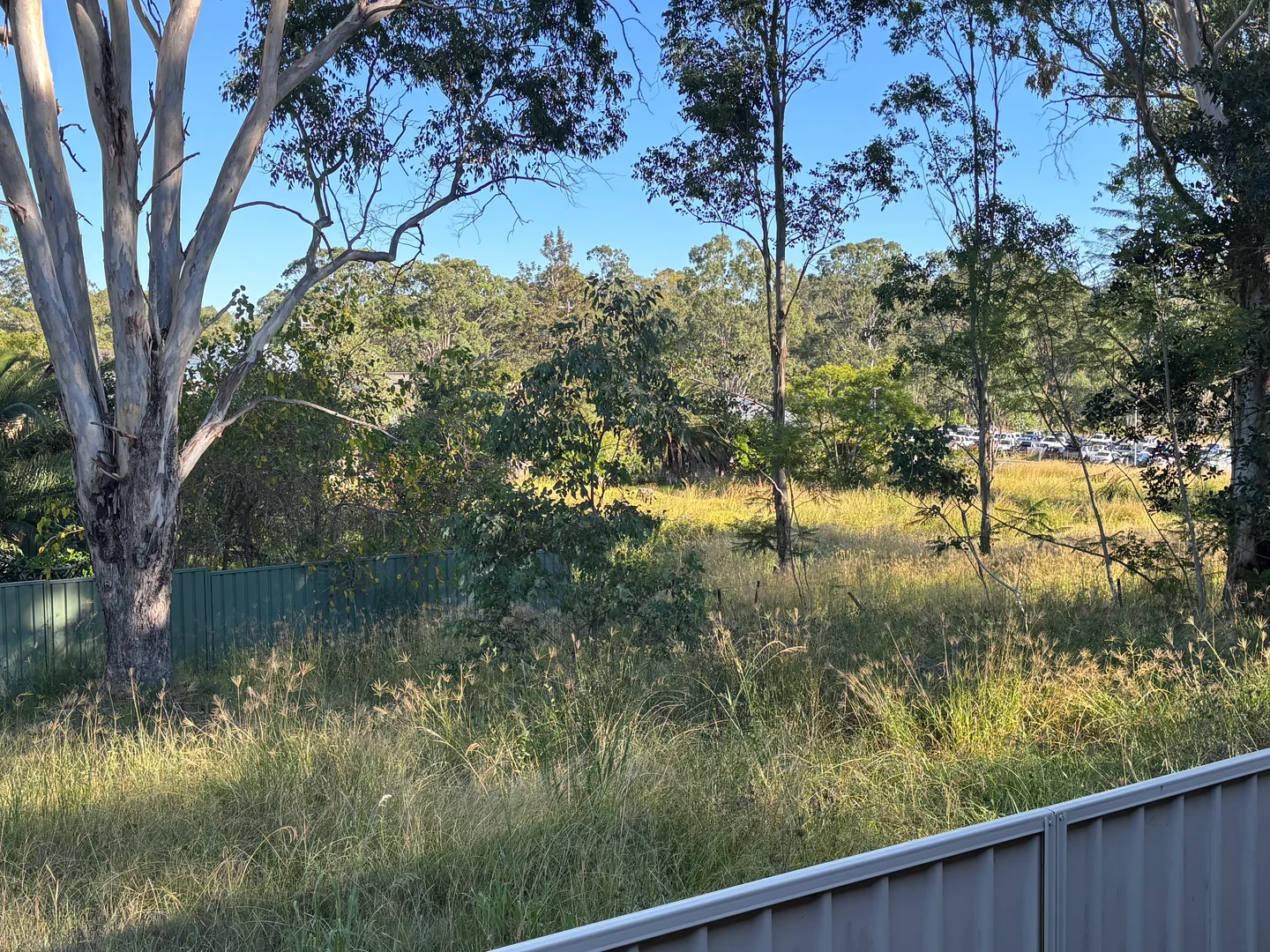 Image 11