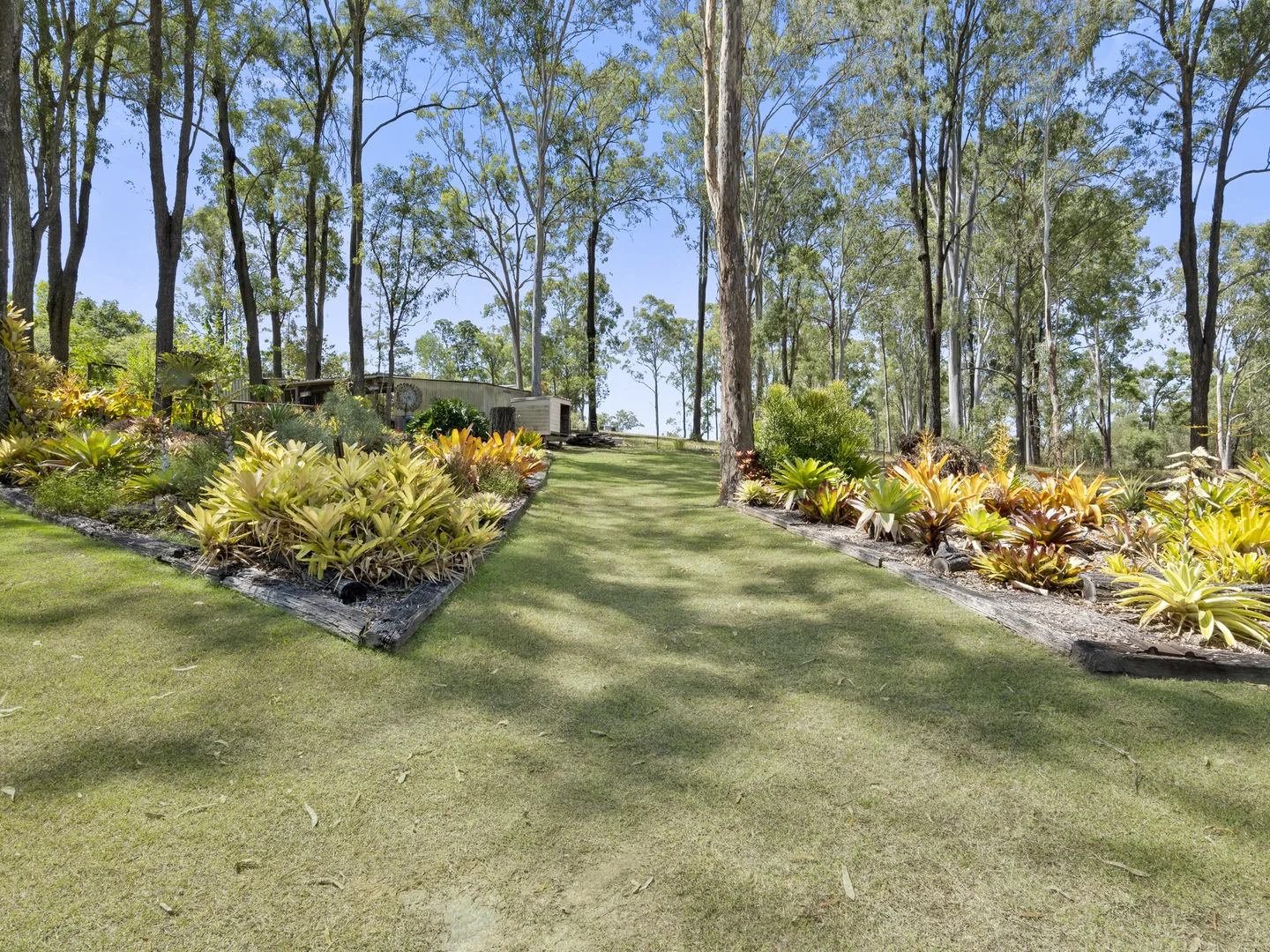 Image 33