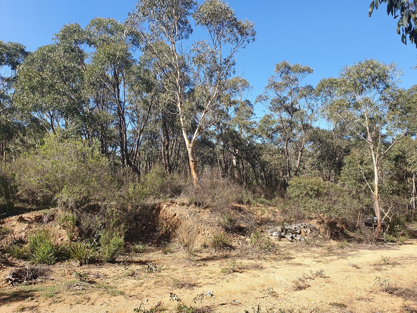 Lot 1&2 Charleys Forest Road, Braidwood NSW 2622, Image 0