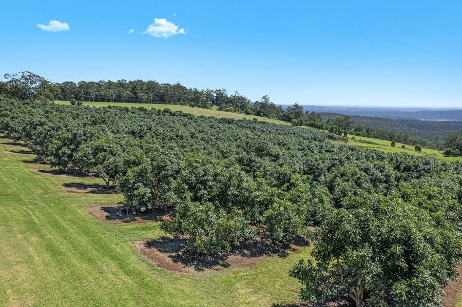 Additional image 19 of Lot 4 Horrex Road, Ravensbourne QLD 4352