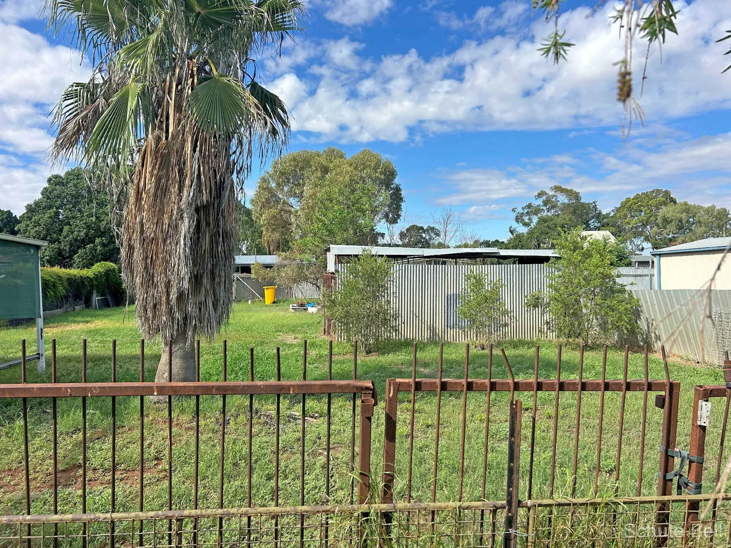 Image 14
