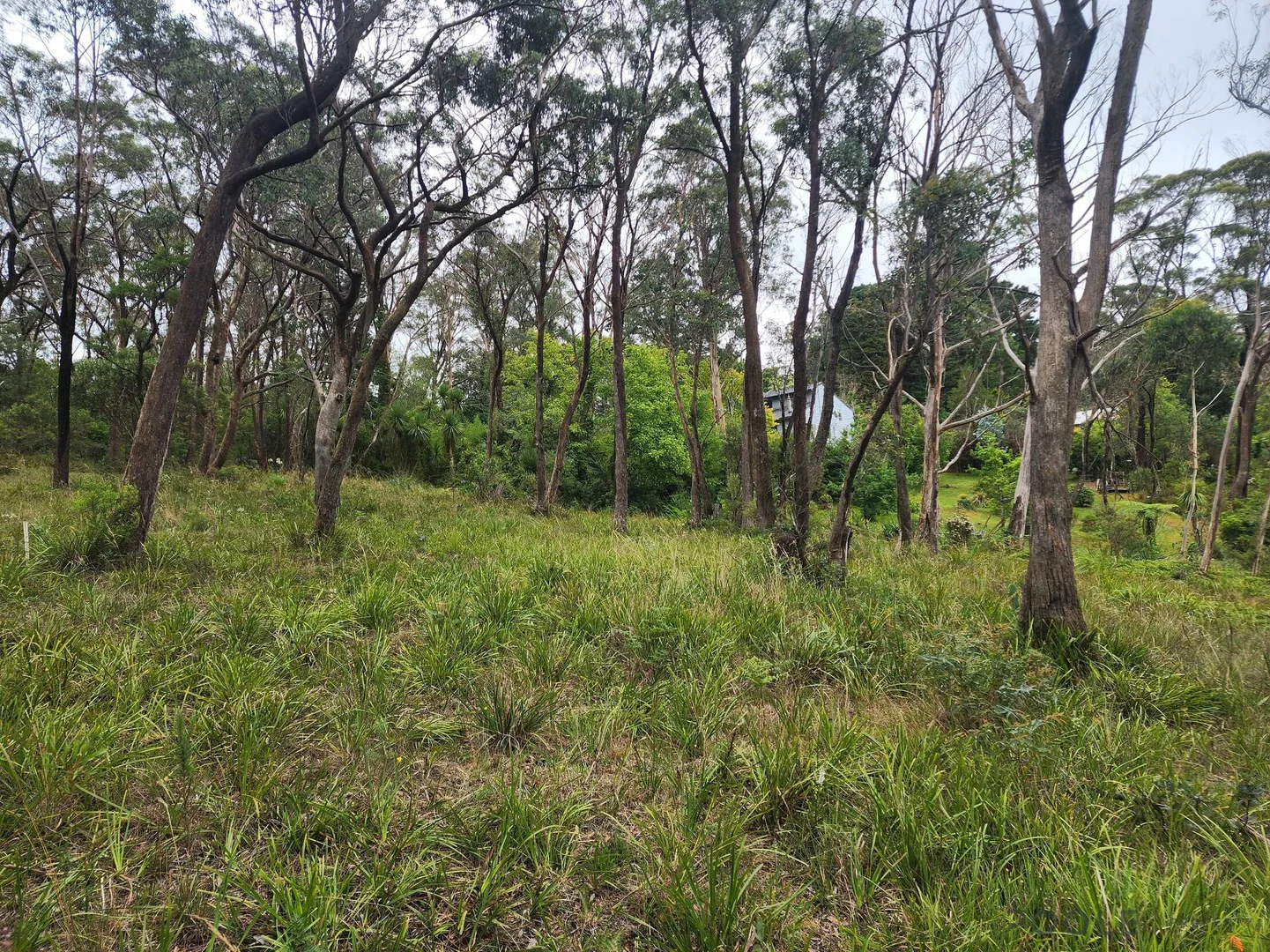 Image 8