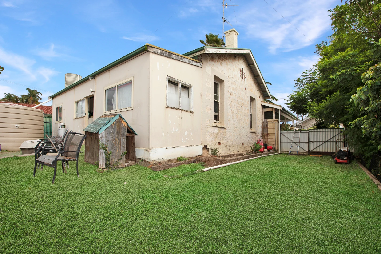 Image 14