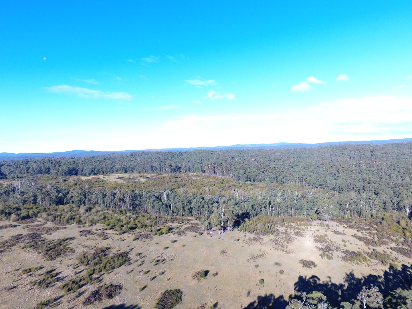 291 Tamboon Road, Cann River VIC 3890 House for Sale 530,000