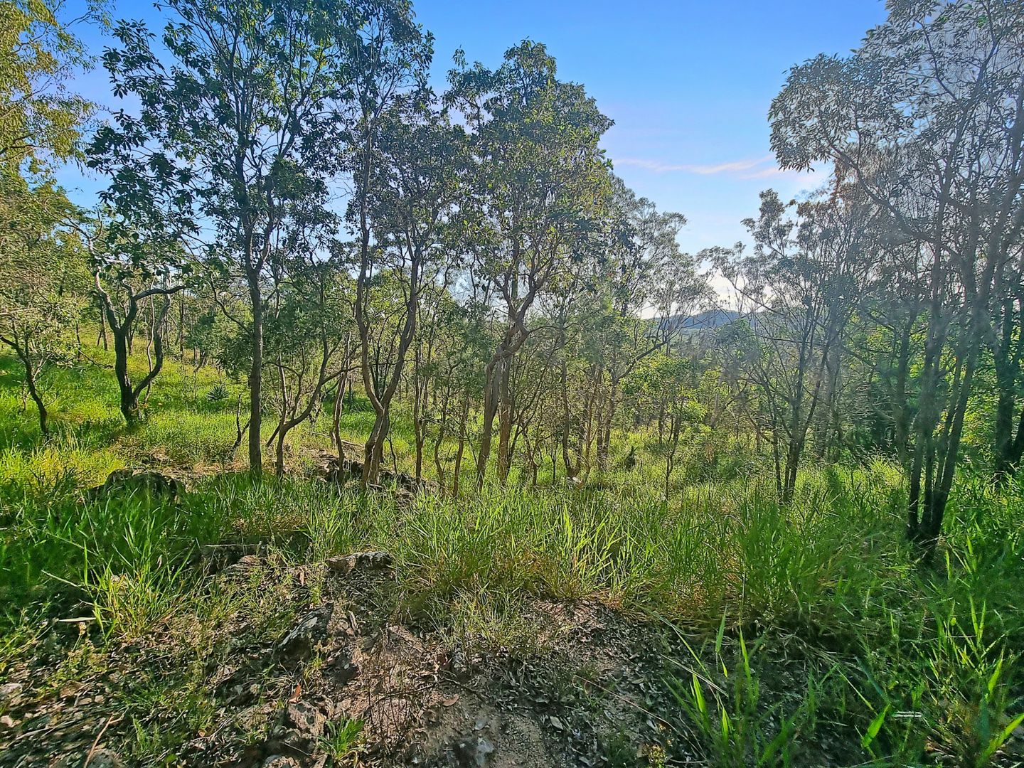 12 Denbigh Road, Herberton QLD 4887, Image 1