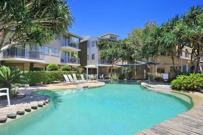 45 Rental Properties In Coolum Beach Qld 4573 Domain