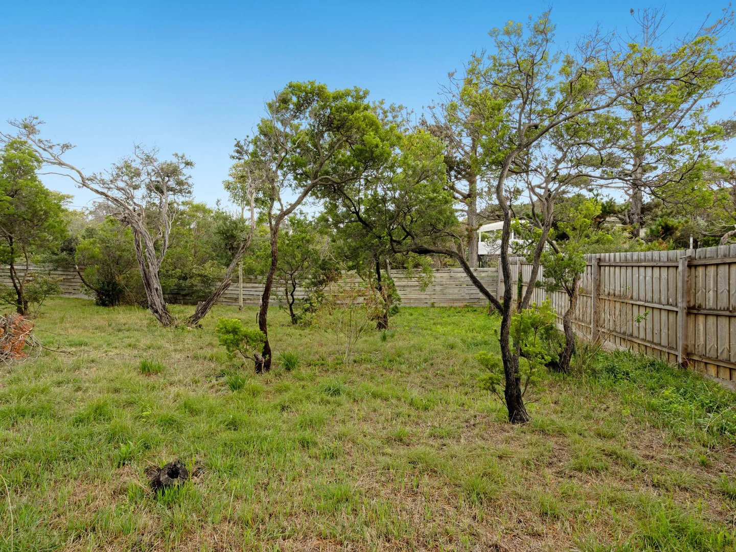 Additional image 14 of 3 Lillian Street, Rye VIC 3941