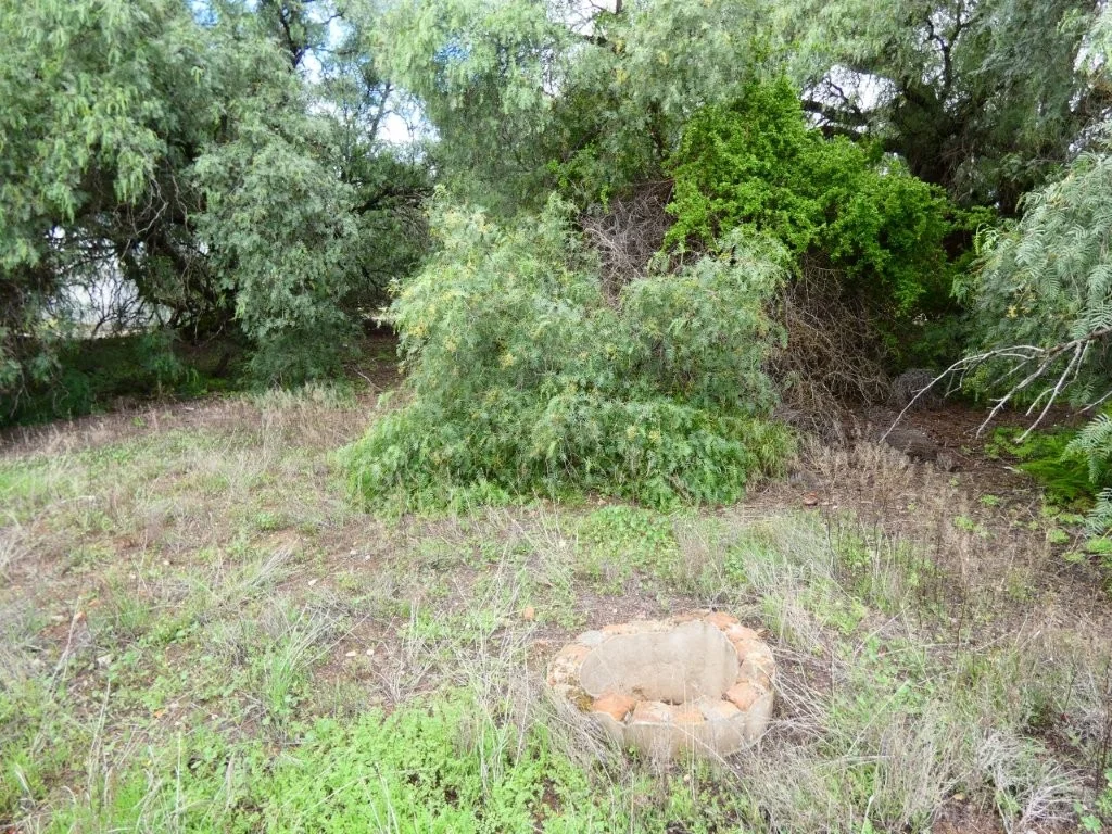 Additional image 3 of 41 Deakin St, Beulah VIC 3395