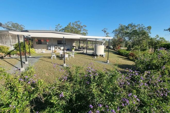 Picture of 156 Black Gin Creek Road, ALTON DOWNS QLD 4702
