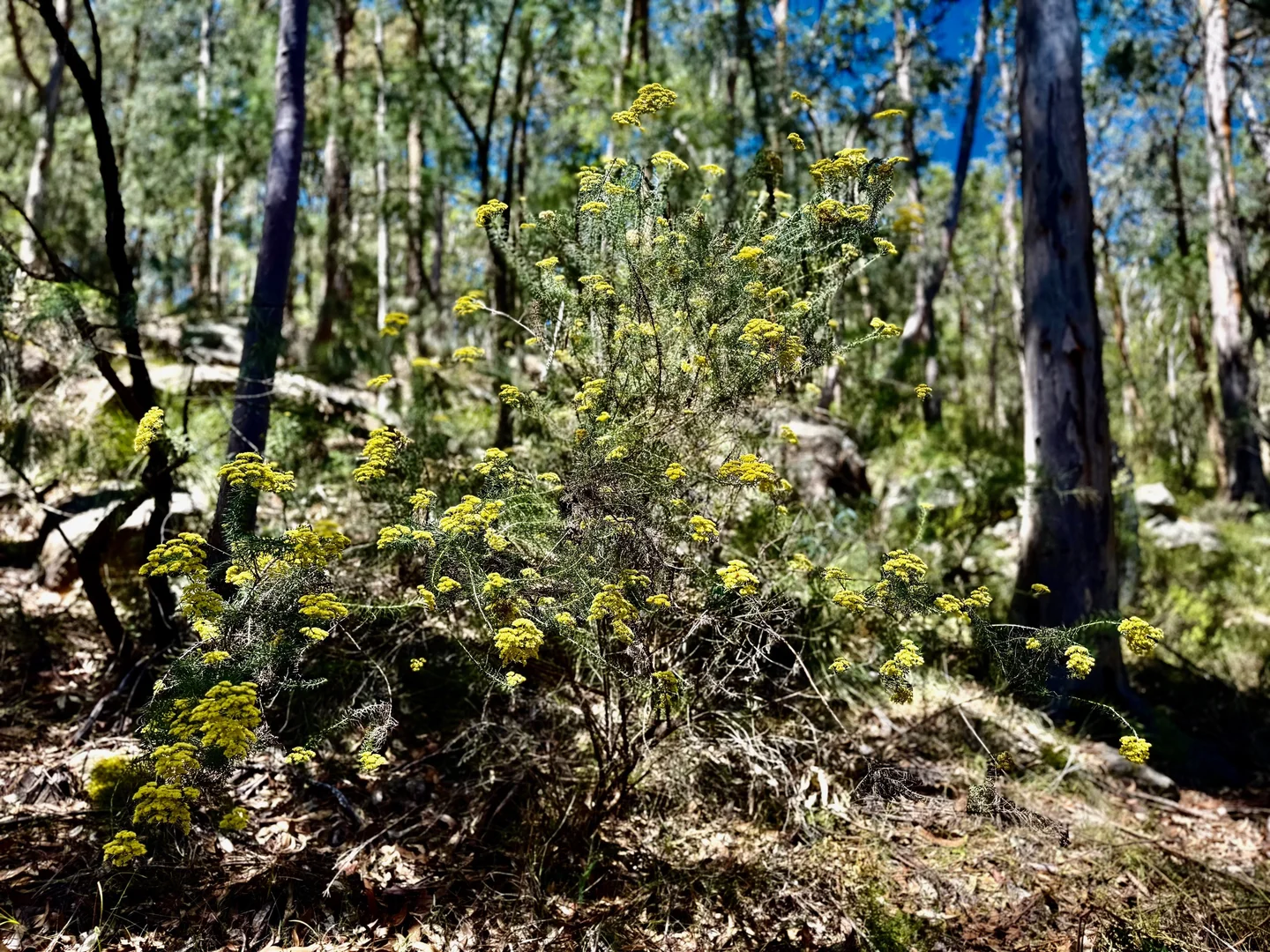 Image 9