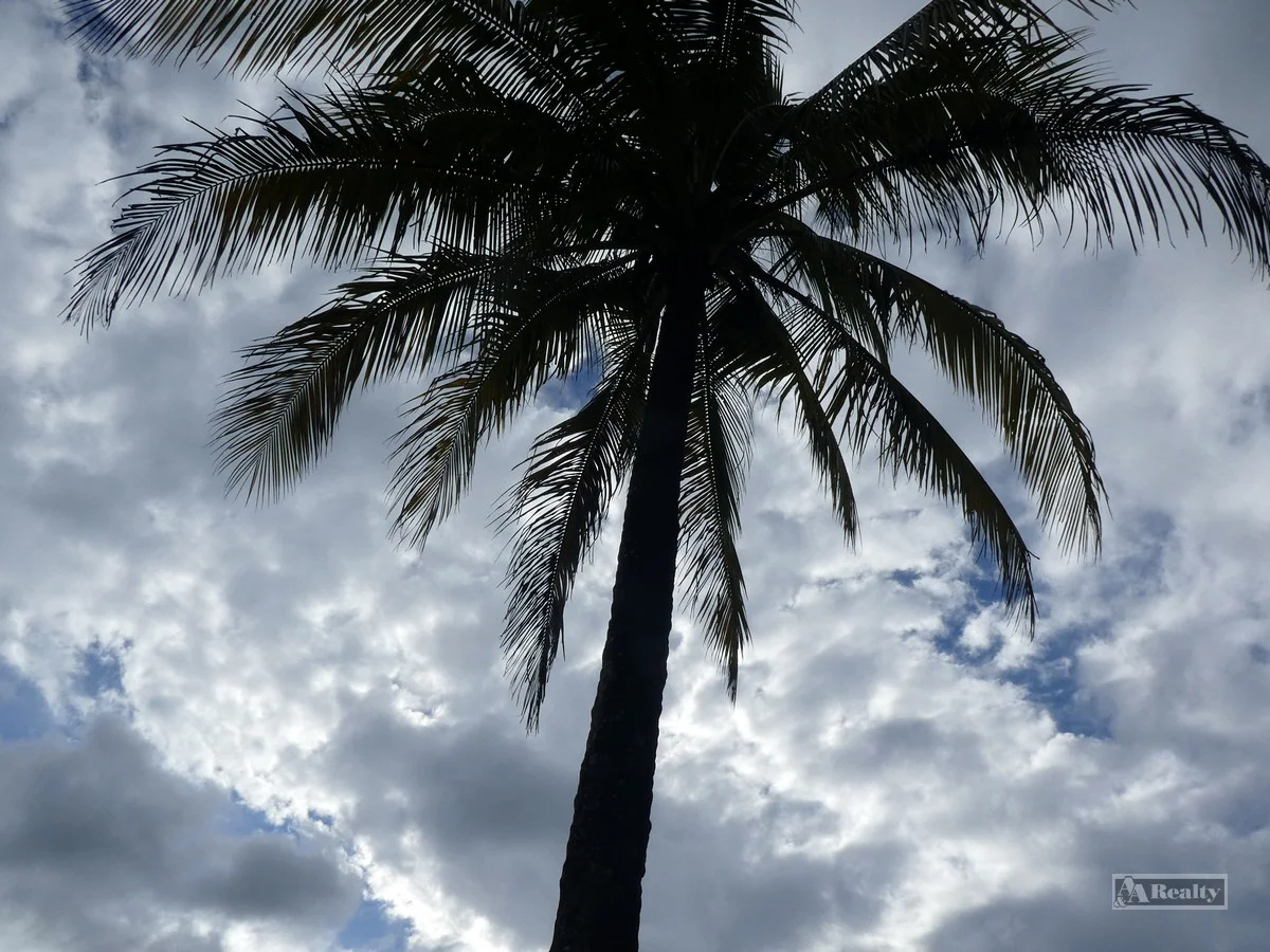 Image 15