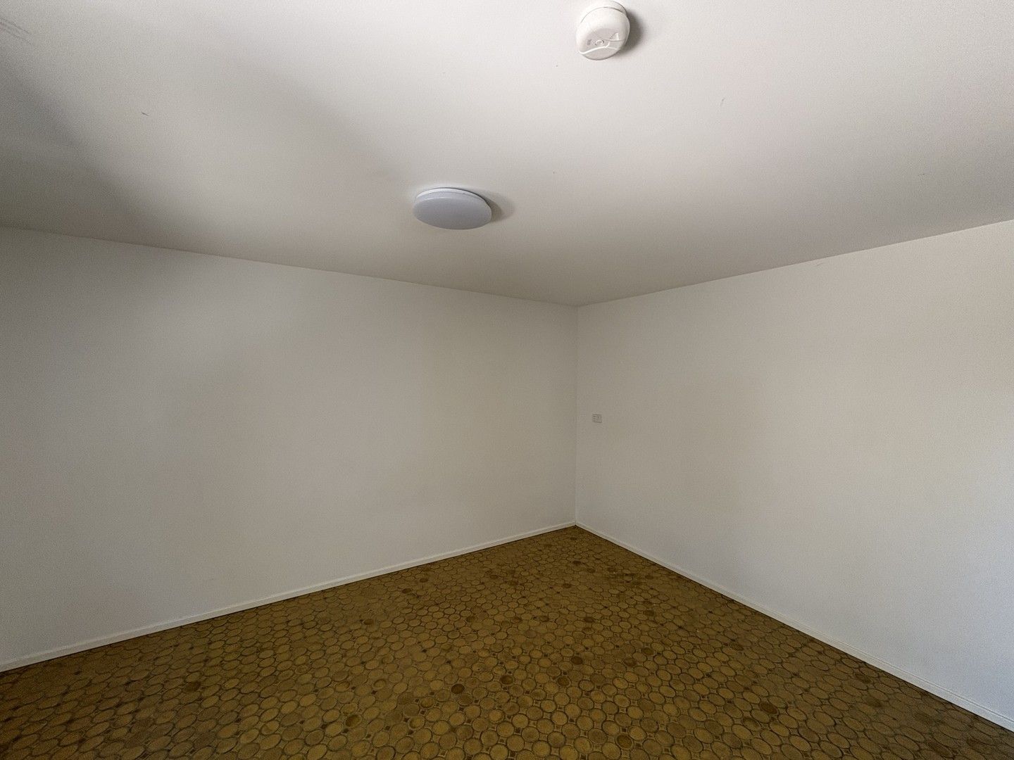 1 bedrooms House in 59C Hawksview Street MERRYLANDS NSW, 2160