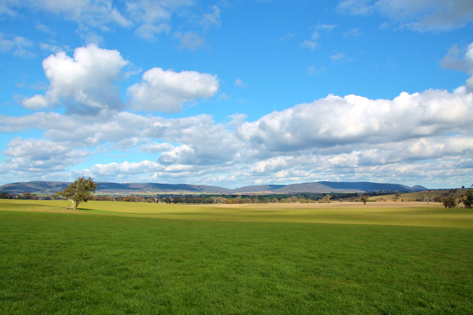 0 Crouchdale Lane, Bendick Murrell, Young NSW 2594, Image 1