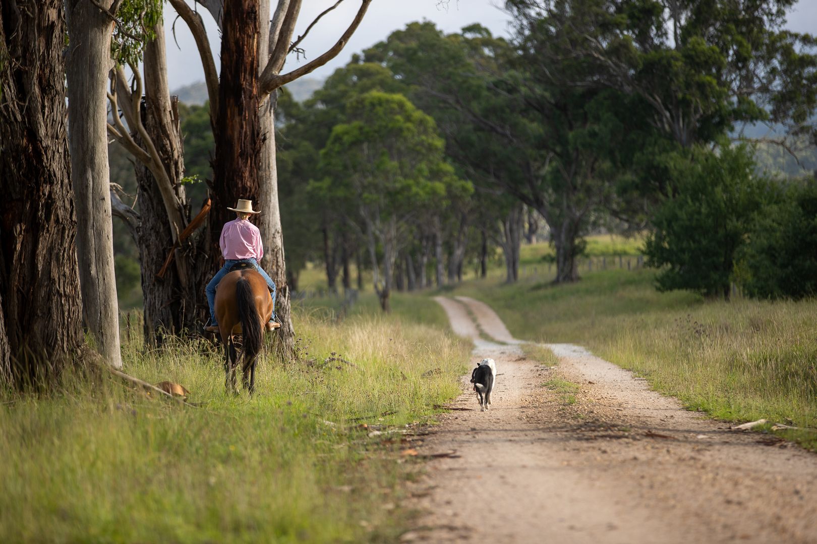 1259 Bald Rock Road, Tenterfield NSW 2372, Image 1