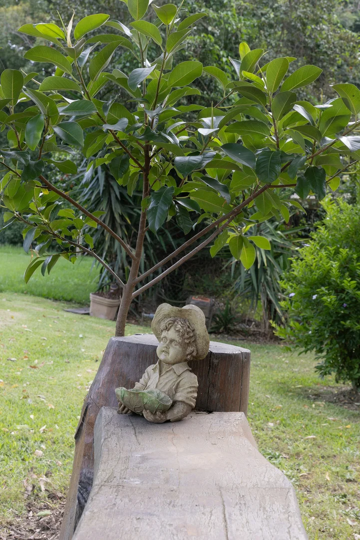 Image 26