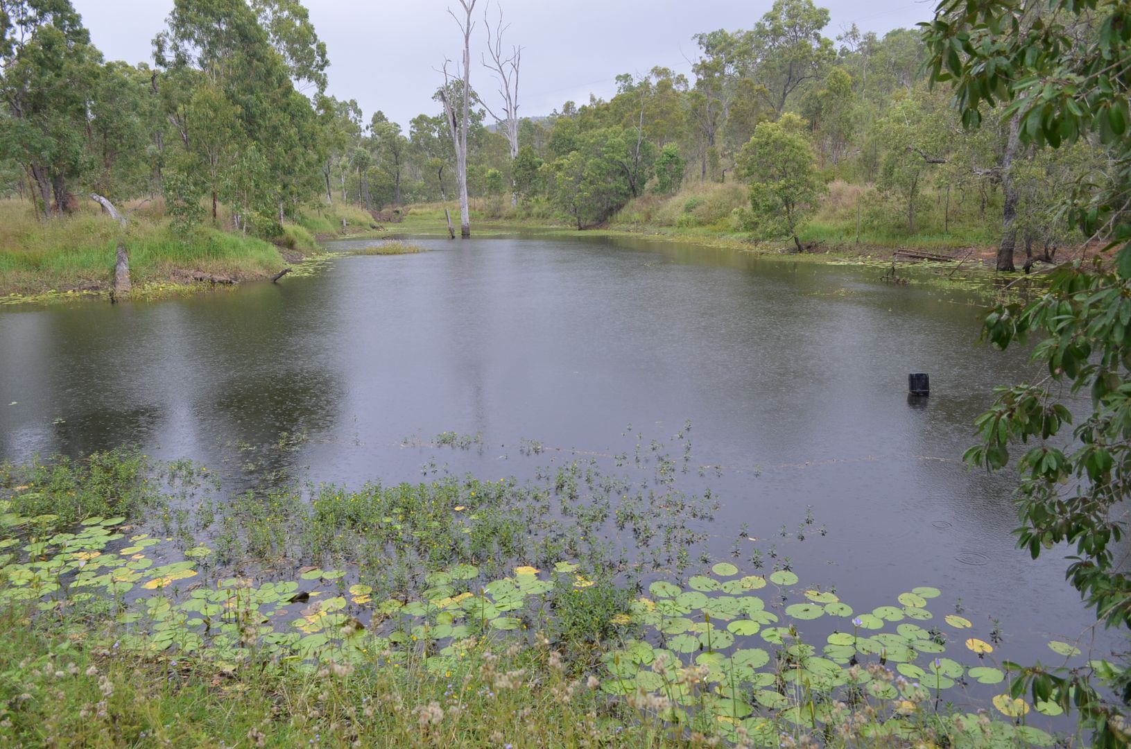 4 Charmaine Road, Millstream Property History & Address Research Domain