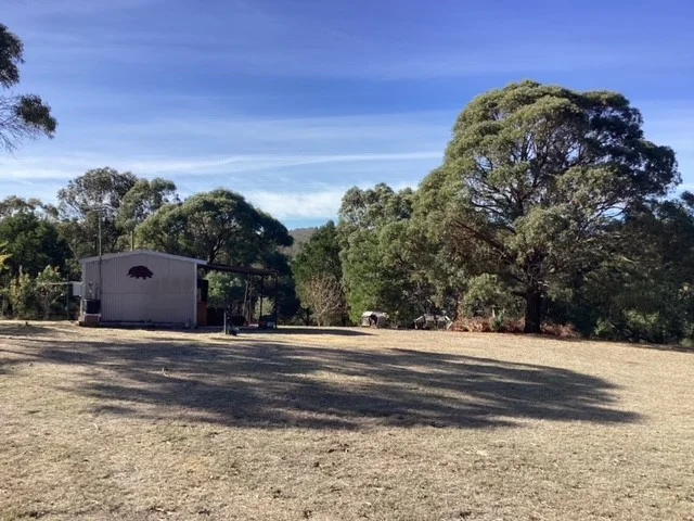 Image 14