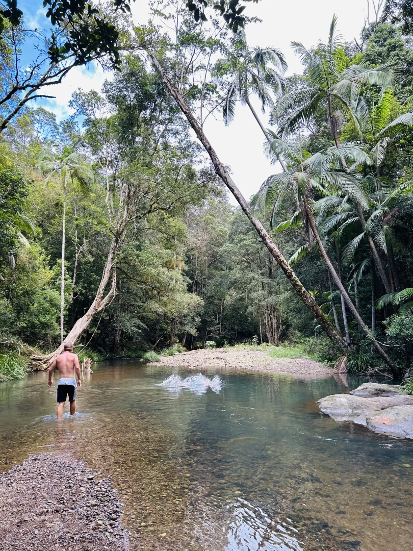 Additional image 32 of 367 Settlement Road, Numinbah NSW 2484