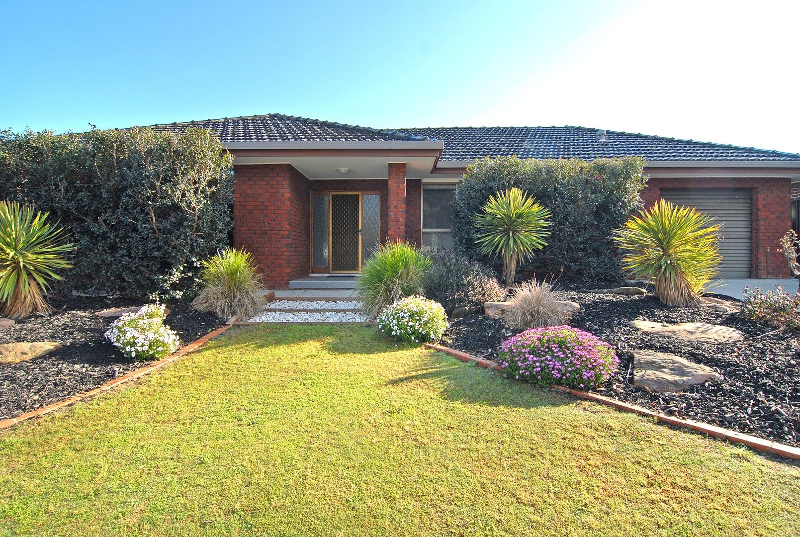 8 Theodore Avenue, Athelstone SA 5076, Image 0