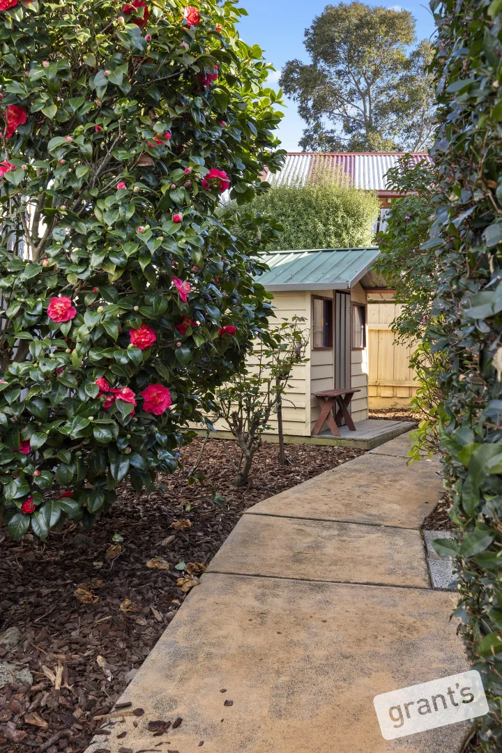 Image 20