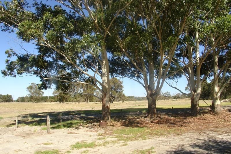 Lot 399/580 Vasse Highway, BUSSELTON WA 6280, Image 2