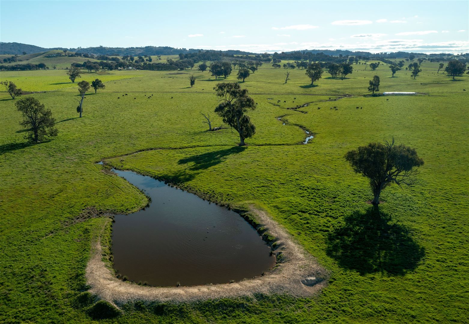 4 bedrooms Farm in Swans Gregadoo East Rd WAGGA WAGGA NSW, 2650
