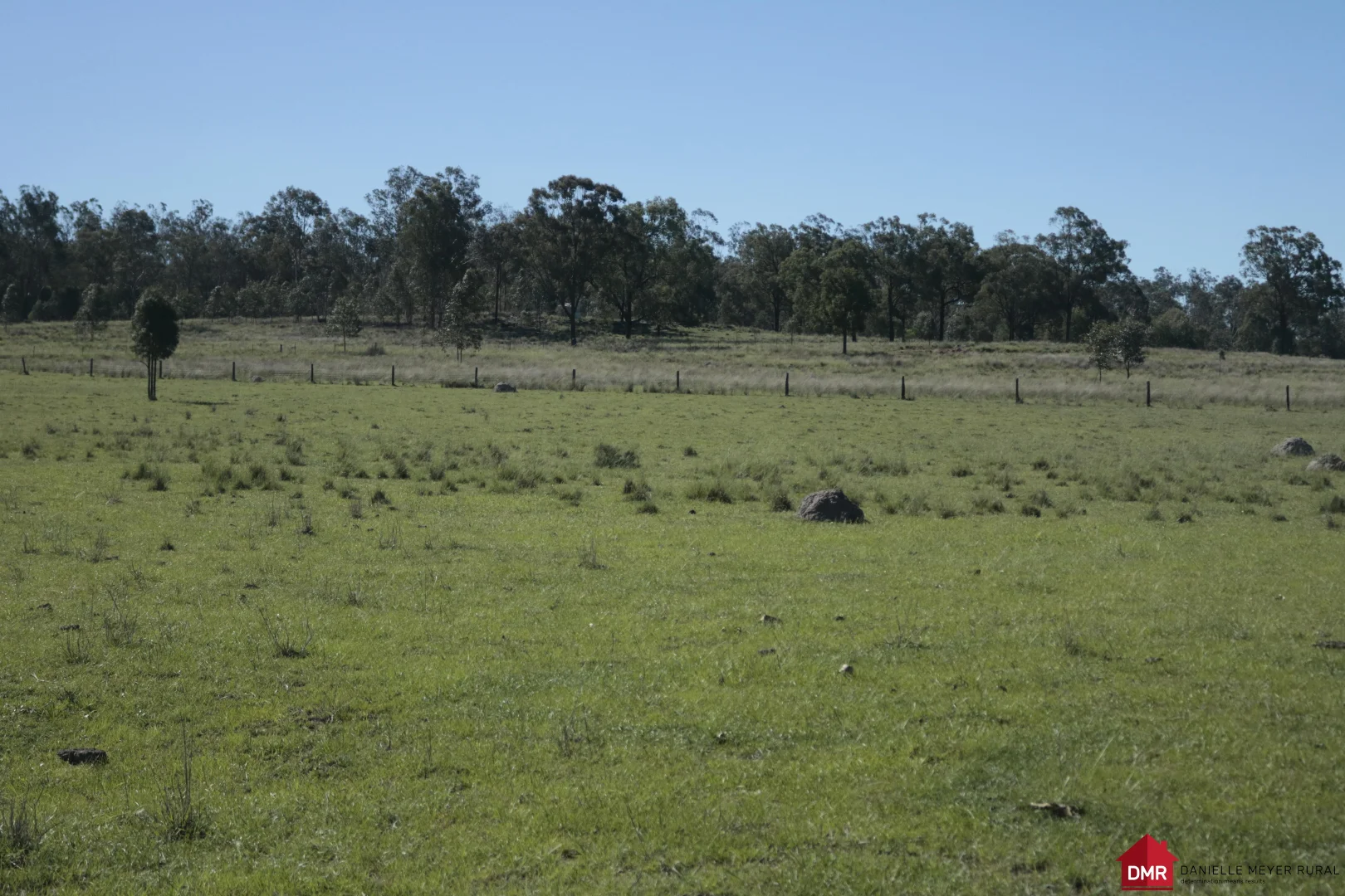 Image 15