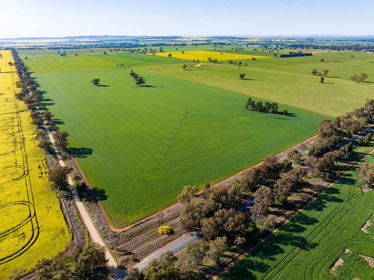 'Part Talavera' Marrar Road, Downside NSW 2650, Image 0