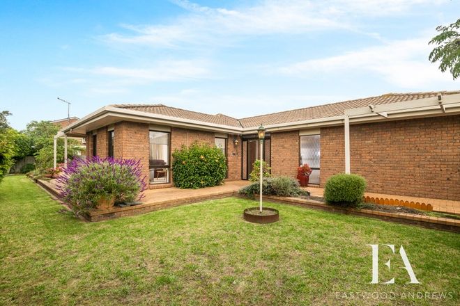 Picture of 3 Kerrie Court, GROVEDALE VIC 3216