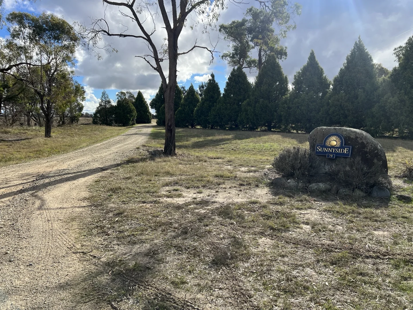 Image 19