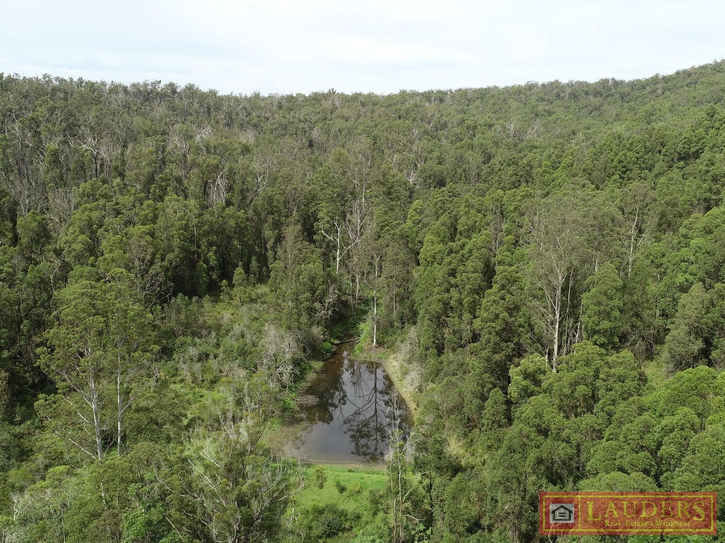 Lot 102 Gilloglys Road, Bulga Forest NSW 2429, Image 1