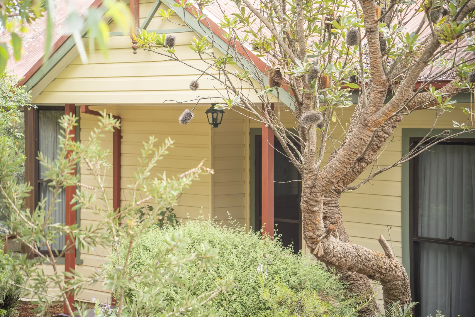 Additional image 2 of 59 McLaughlin Avenue, Wentworth Falls NSW 2782