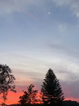 Additional image 75 of 103 Rural Road, Nanango QLD 4615