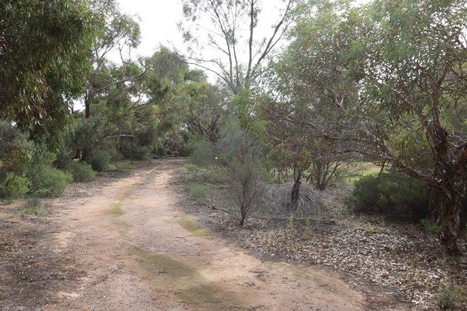 Picture of lot 250/31 Old Blanchetown Road, WAIKERIE SA 5330