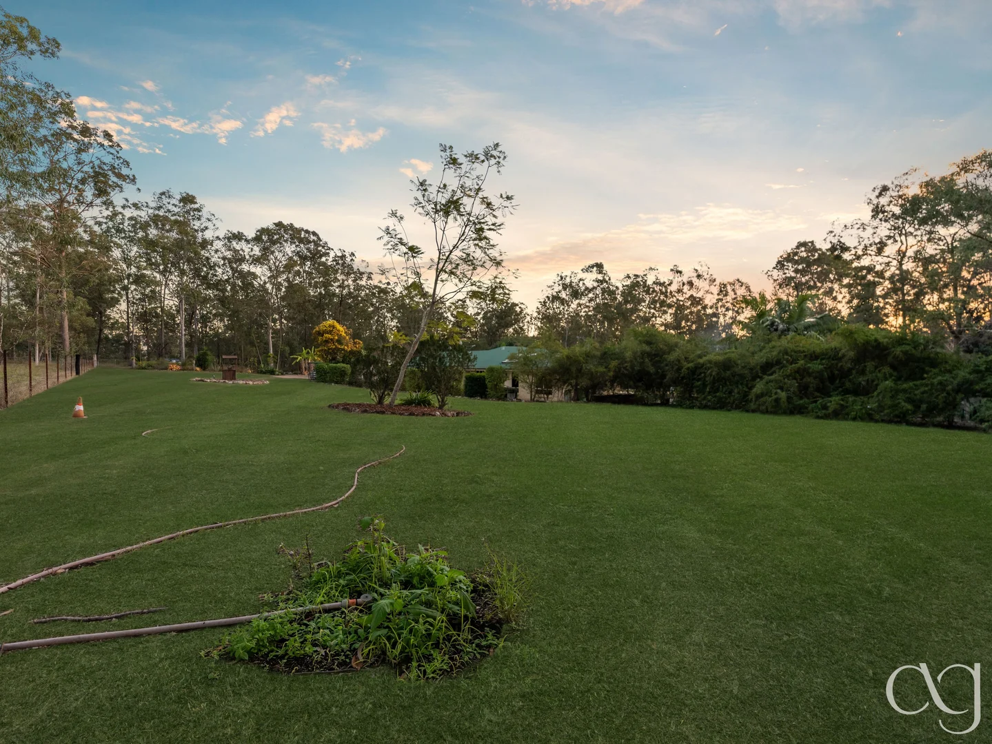 Image 33