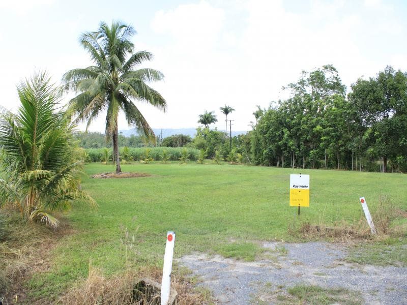 Lot 6 McDowall Lane, Daintree QLD 4873, Image 1